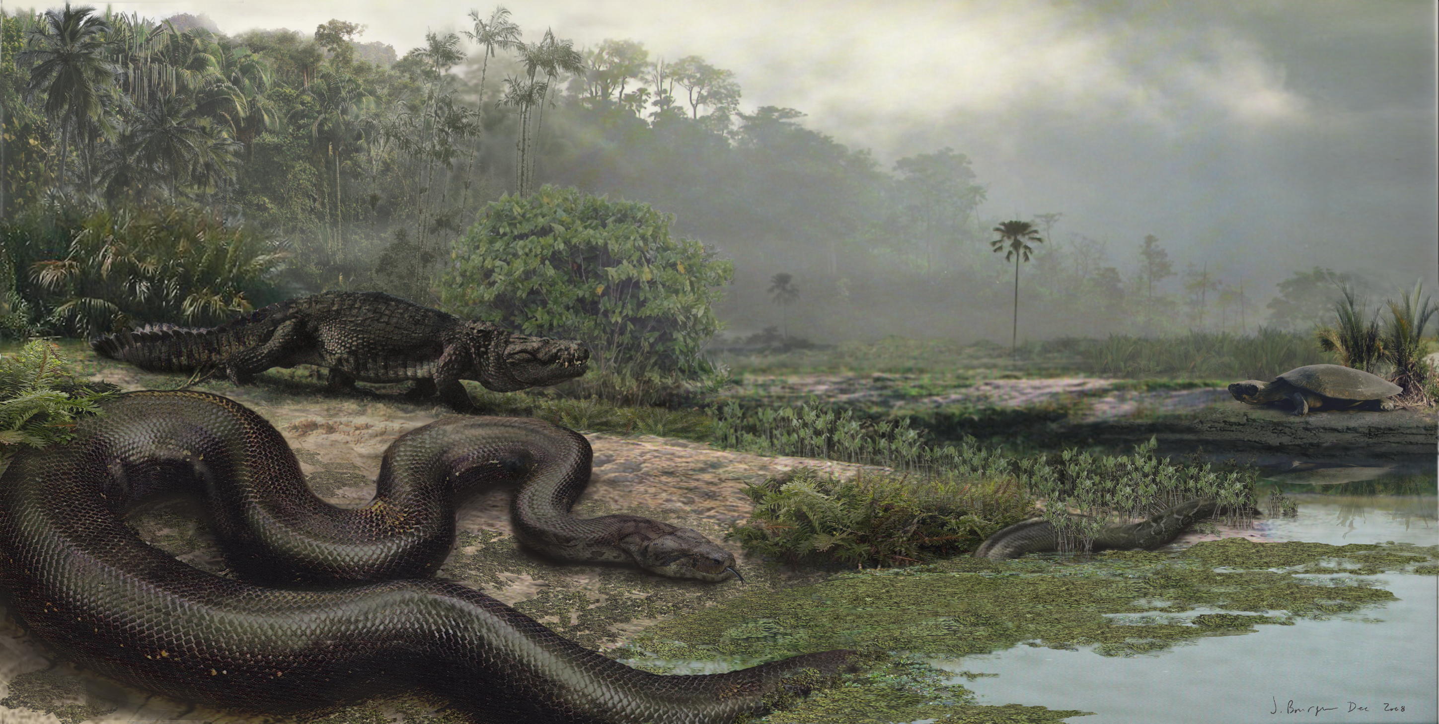 Titanoboa cerrejonesis